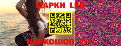 СК Жуковский