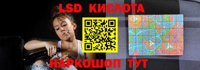 индика Заводоуковск
