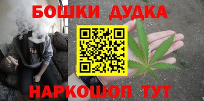 индика Заводоуковск