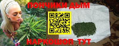 индика Заводоуковск