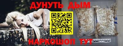 индика Заводоуковск