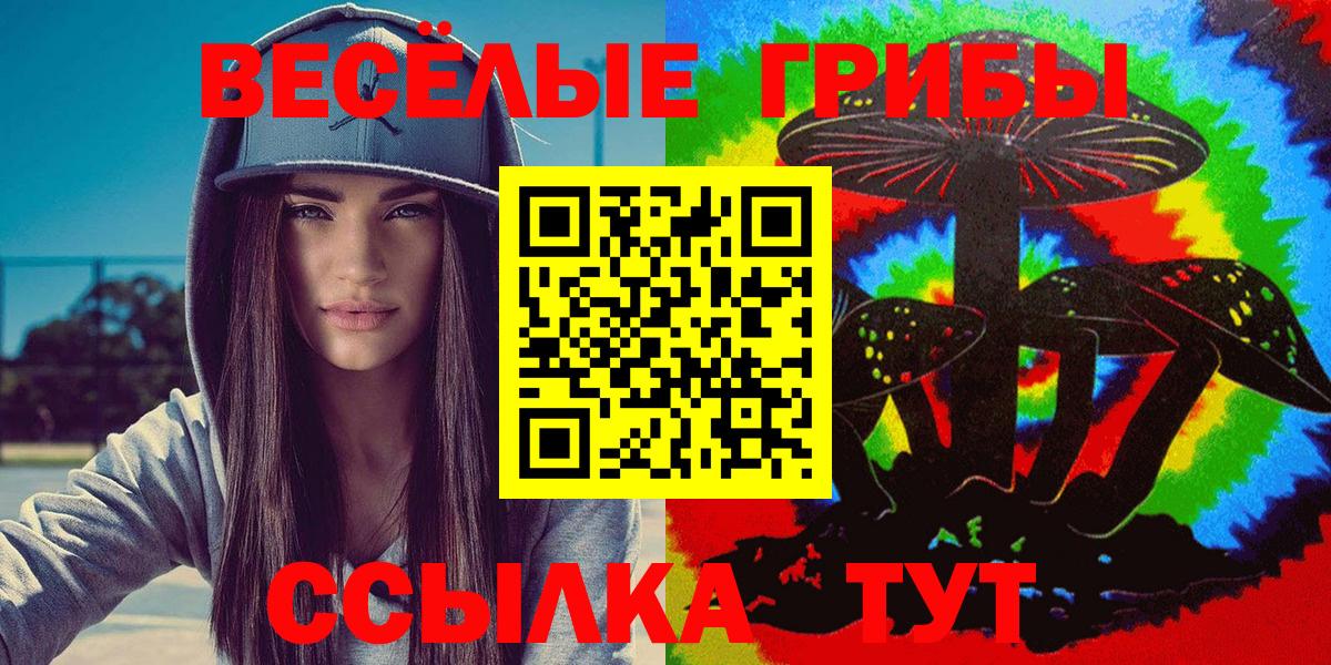 Галлюциногенные грибы Cubensis Лосино-Петровский