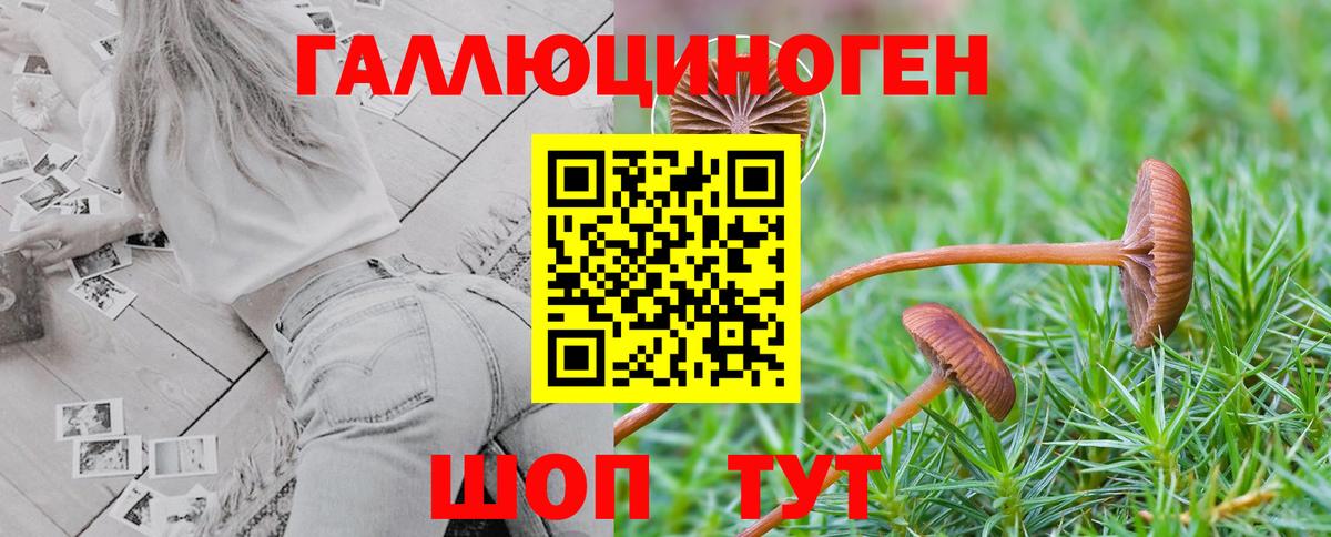 Галлюциногенные грибы ЛСД  Галлюциногенные грибы прущие грибы  Вход с VPN  Лосино-Петровский 